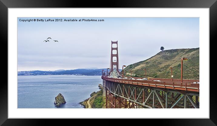 Golden Gate Bridge Framed Mounted Print by Betty LaRue
