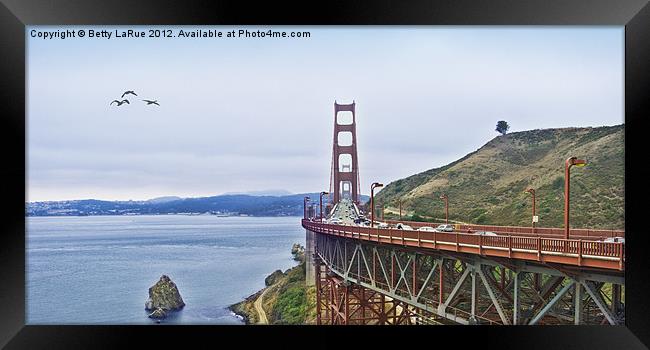 Golden Gate Bridge Framed Print by Betty LaRue