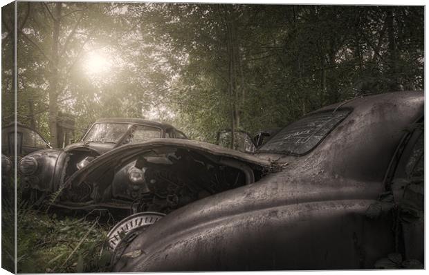 Car grave yard Canvas Print by andrew bagley