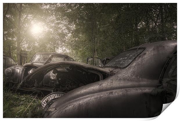 Car grave yard Print by andrew bagley