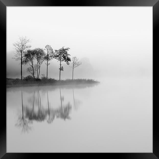 Loch Ard trees in the mist Framed Print by Grant Glendinning