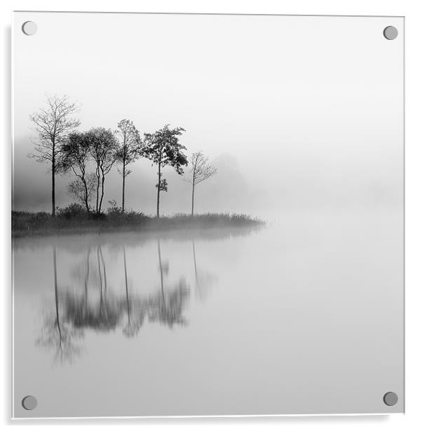 Loch Ard trees in the mist Acrylic by Grant Glendinning