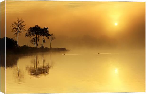 Loch Ard morning glow Canvas Print by Grant Glendinning