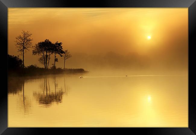 Loch Ard morning glow Framed Print by Grant Glendinning