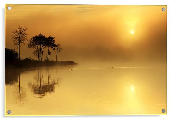 Loch Ard morning glow Acrylic by Grant Glendinning