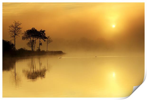 Loch Ard morning glow Print by Grant Glendinning