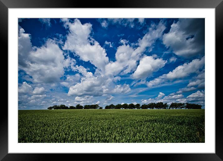 on the border Framed Mounted Print by Jo Beerens