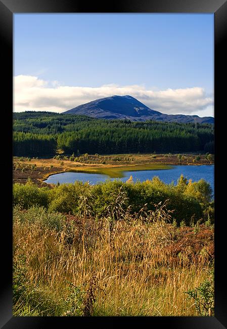 A Perthshire Autumn Framed Print by Jacqi Elmslie