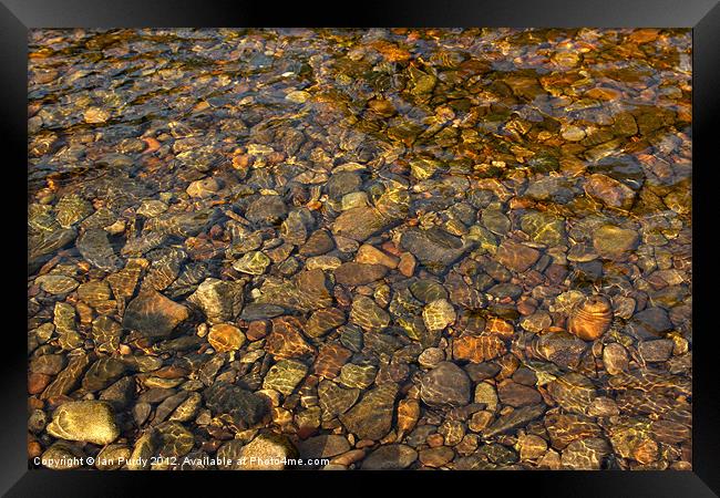 Pebbles through water Framed Print by Ian Purdy