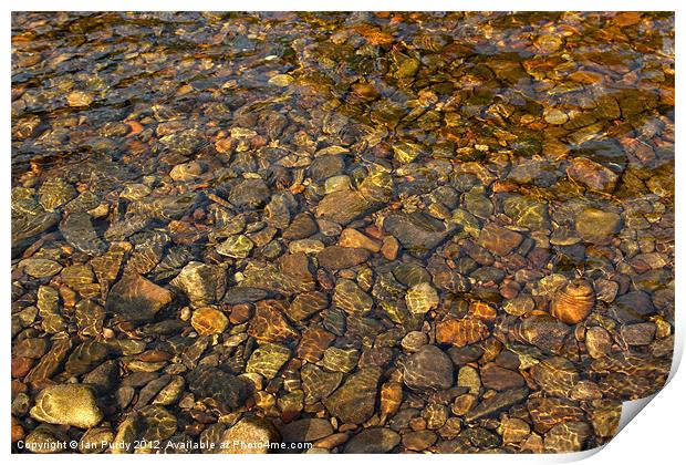 Pebbles through water Print by Ian Purdy