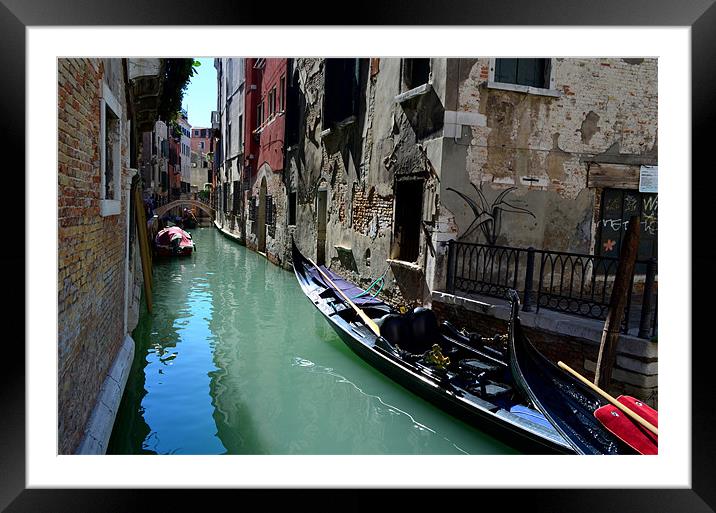 Venice Framed Mounted Print by barbara walsh