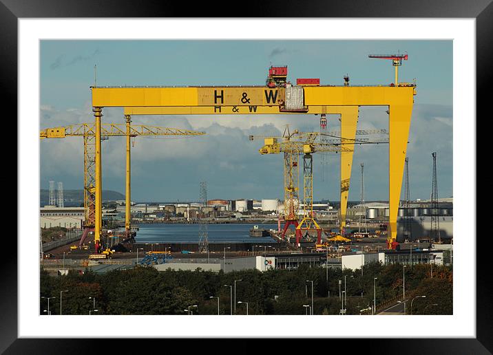 HARLAND AND WOLFF CRANES BELFAST Framed Mounted Print by Noel Sofley