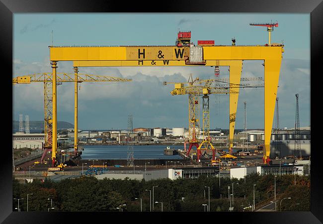 HARLAND AND WOLFF CRANES BELFAST Framed Print by Noel Sofley