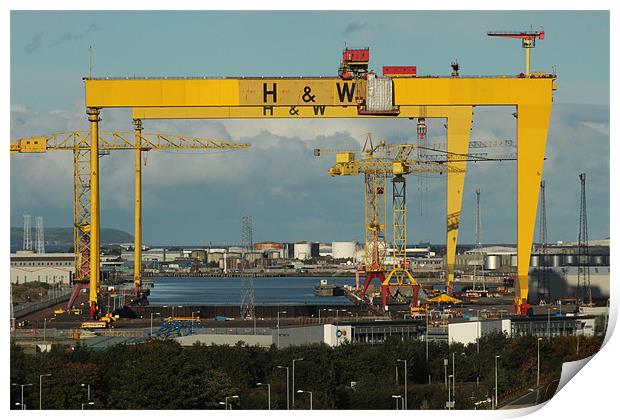 HARLAND AND WOLFF CRANES BELFAST Print by Noel Sofley
