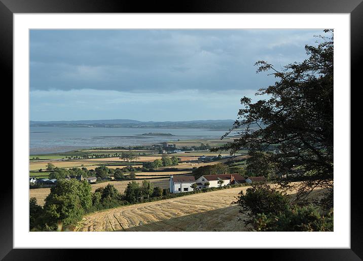 fields around strangford lough Framed Mounted Print by Noel Sofley