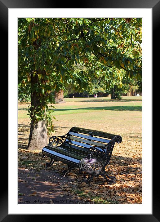 Lonely bench Framed Mounted Print by Rebecca Giles