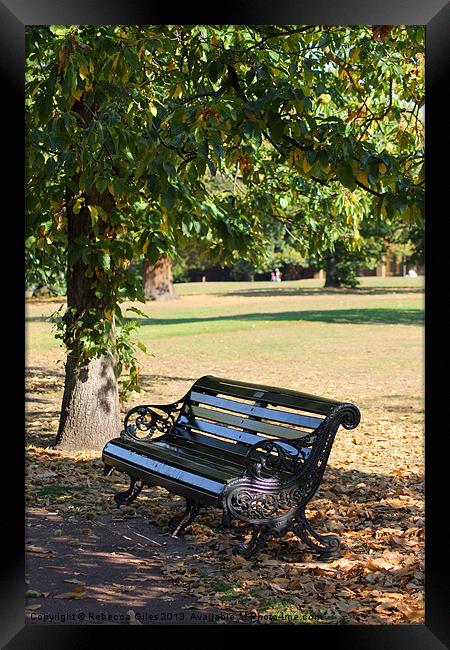 Lonely bench Framed Print by Rebecca Giles