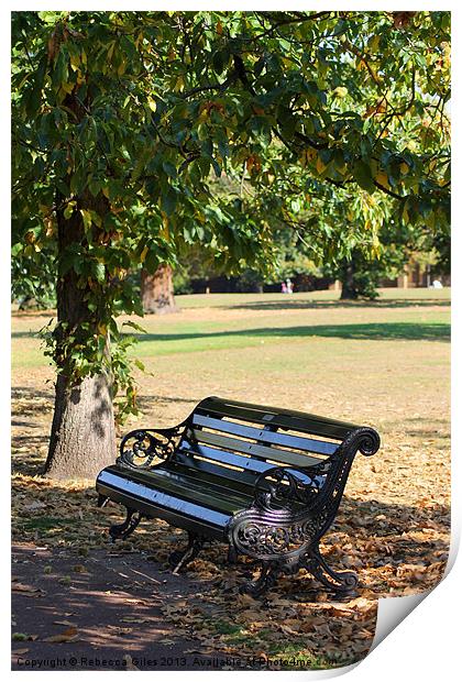 Lonely bench Print by Rebecca Giles