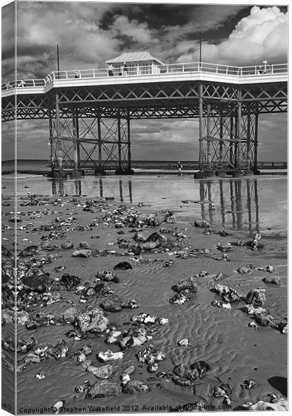 Cromer pier aspect Canvas Print by Stephen Wakefield