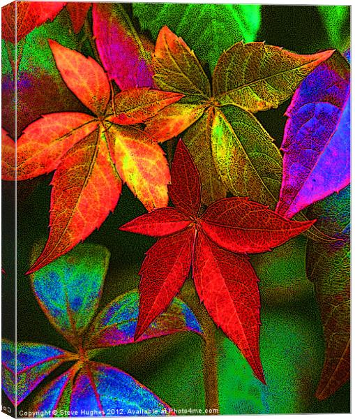 Vibrant multi coloured leaves Canvas Print by Steve Hughes