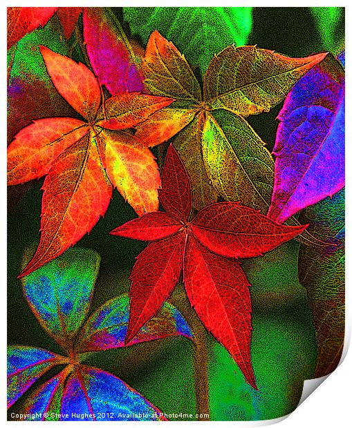 Vibrant multi coloured leaves Print by Steve Hughes