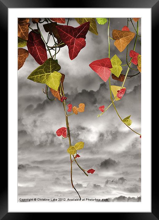 Colour Me Autumn Framed Mounted Print by Christine Lake