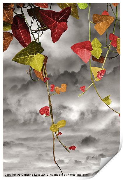 Colour Me Autumn Print by Christine Lake