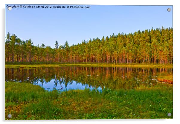 Pond and pines Acrylic by Kathleen Smith (kbhsphoto)