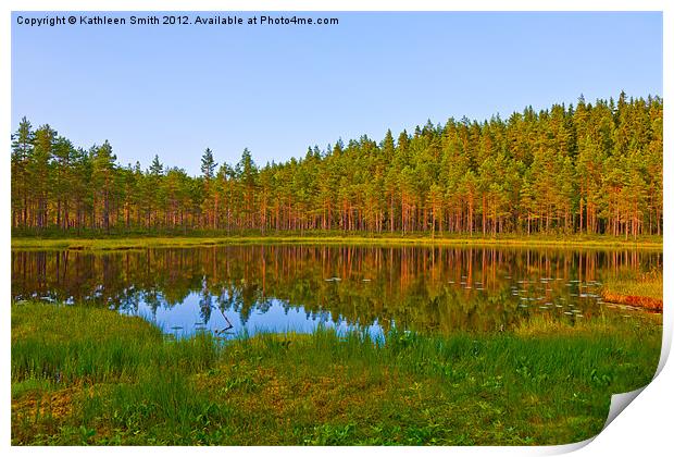 Pond and pines Print by Kathleen Smith (kbhsphoto)
