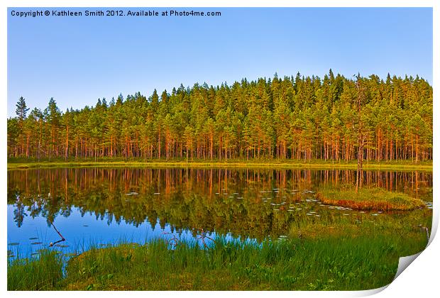 Pond and pines Print by Kathleen Smith (kbhsphoto)