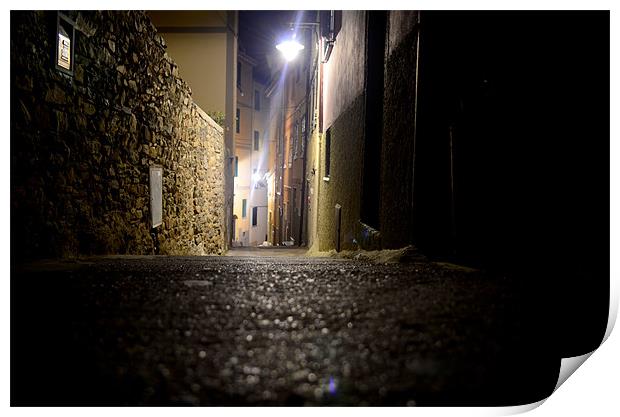 Night in Manarola Print by barbara walsh