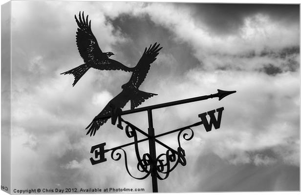 Weather Vane Canvas Print by Chris Day