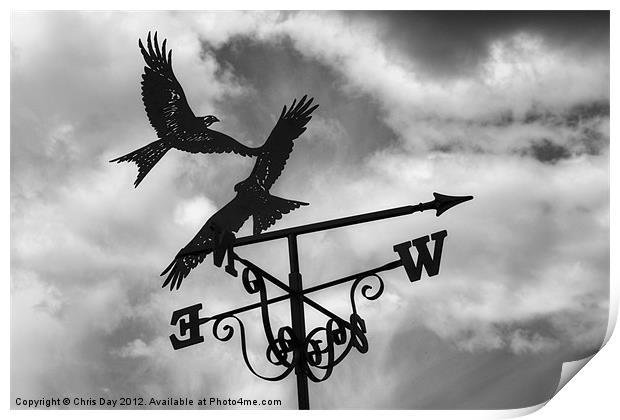 Weather Vane Print by Chris Day