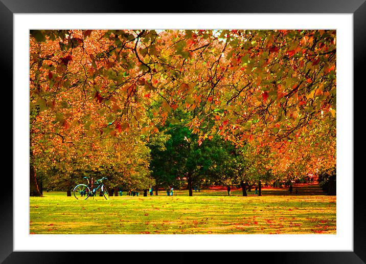 Green Park autumn London Framed Mounted Print by David French