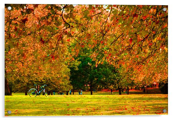 Green Park autumn London Acrylic by David French