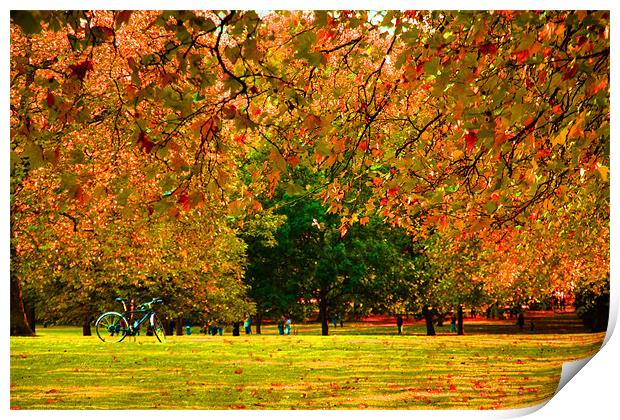 Green Park autumn London Print by David French