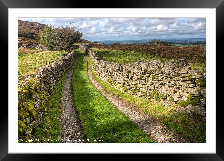 Country Lane Framed Mounted Print by Adrian Evans