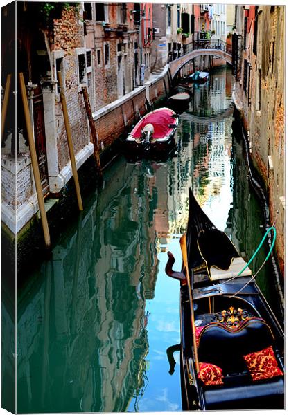 Venice Canvas Print by barbara walsh