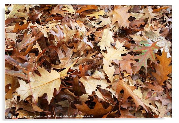 Autumn Leaves Acrylic by Graham Custance