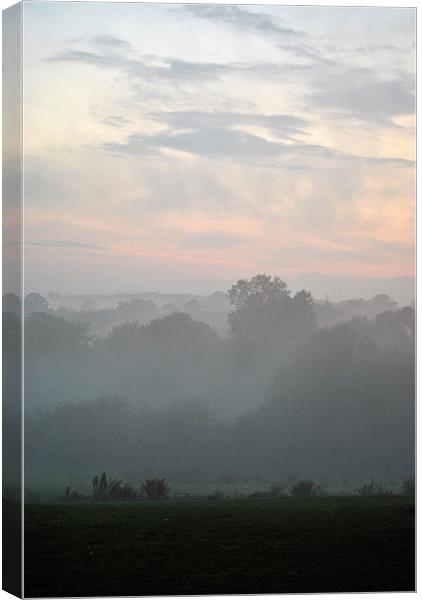 Evening Mist Canvas Print by graham young