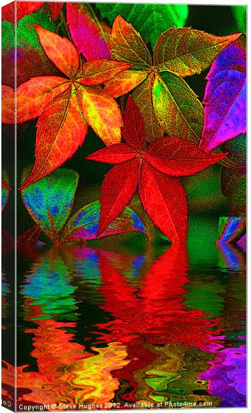 multi coloured leaves Canvas Print by Steve Hughes