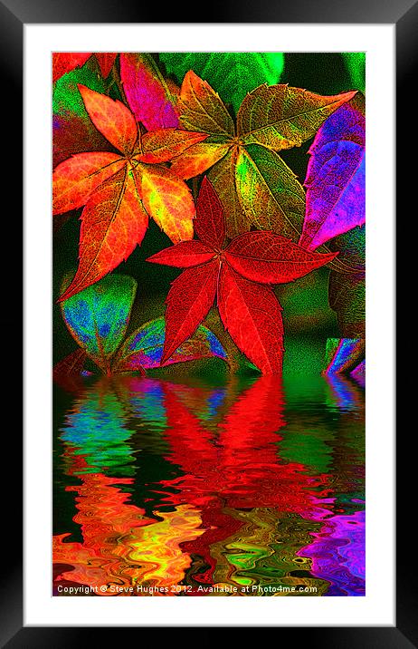 multi coloured leaves Framed Mounted Print by Steve Hughes