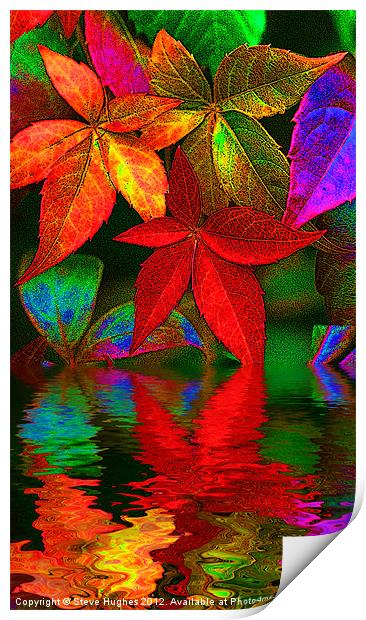 multi coloured leaves Print by Steve Hughes