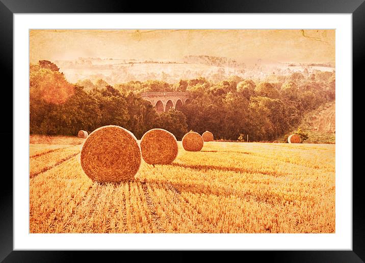 Field of Golden Wheat Framed Mounted Print by Dawn Cox