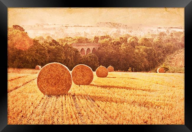 Field of Golden Wheat Framed Print by Dawn Cox