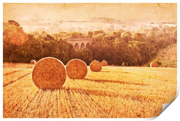 Field of Golden Wheat Print by Dawn Cox