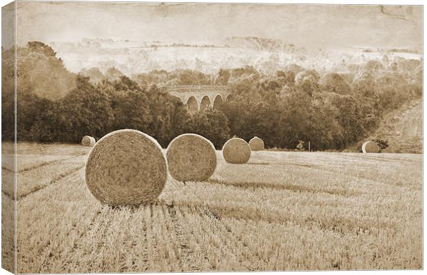 Wheat Field in Sepia tones Canvas Print by Dawn Cox