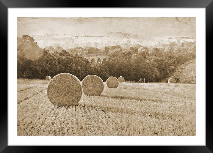 Wheat Field in Sepia tones Framed Mounted Print by Dawn Cox