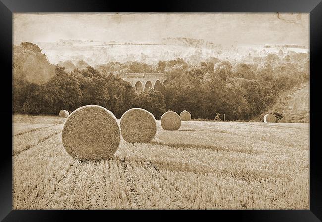 Wheat Field in Sepia tones Framed Print by Dawn Cox