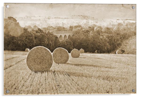 Wheat Field in Sepia tones Acrylic by Dawn Cox